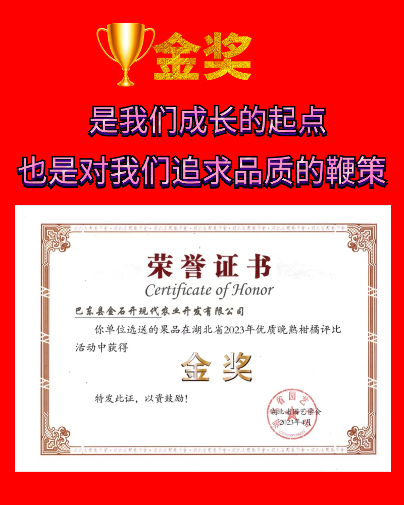 金奖.png