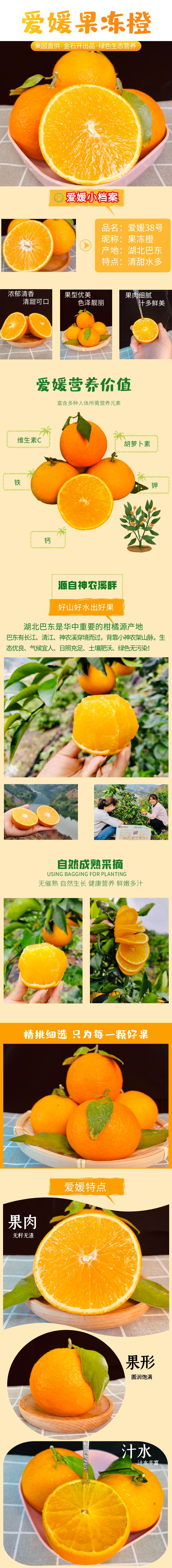 详情页-爱媛普通版.jpg