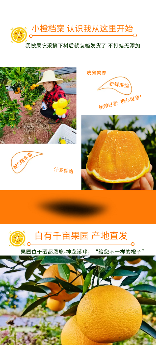 02 - 副本.png