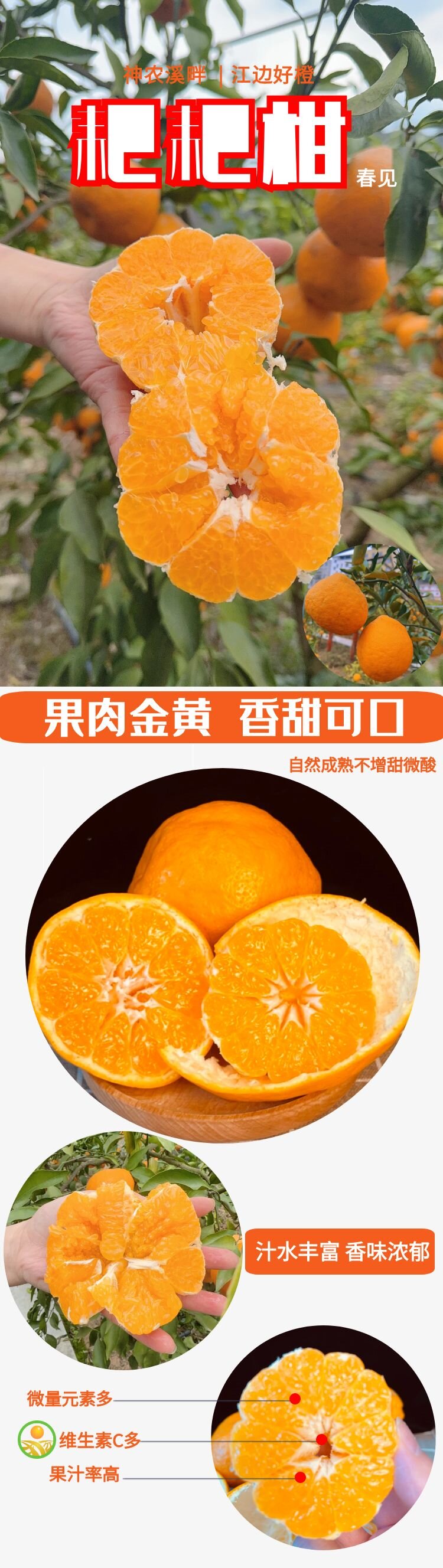 2024120919364317384o (1).jpg