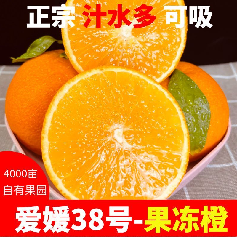 主图11.jpg