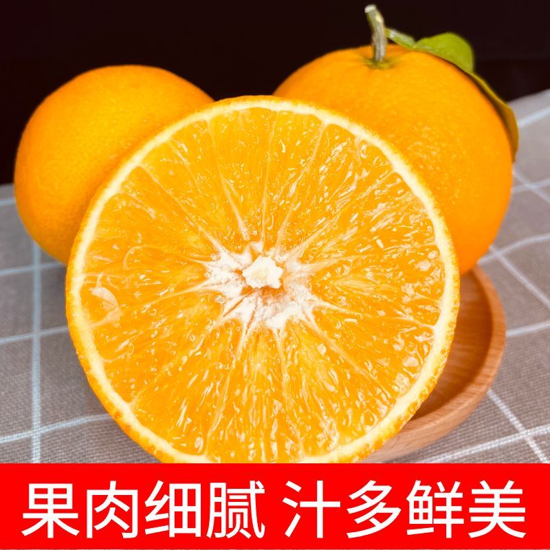 主图12.jpg
