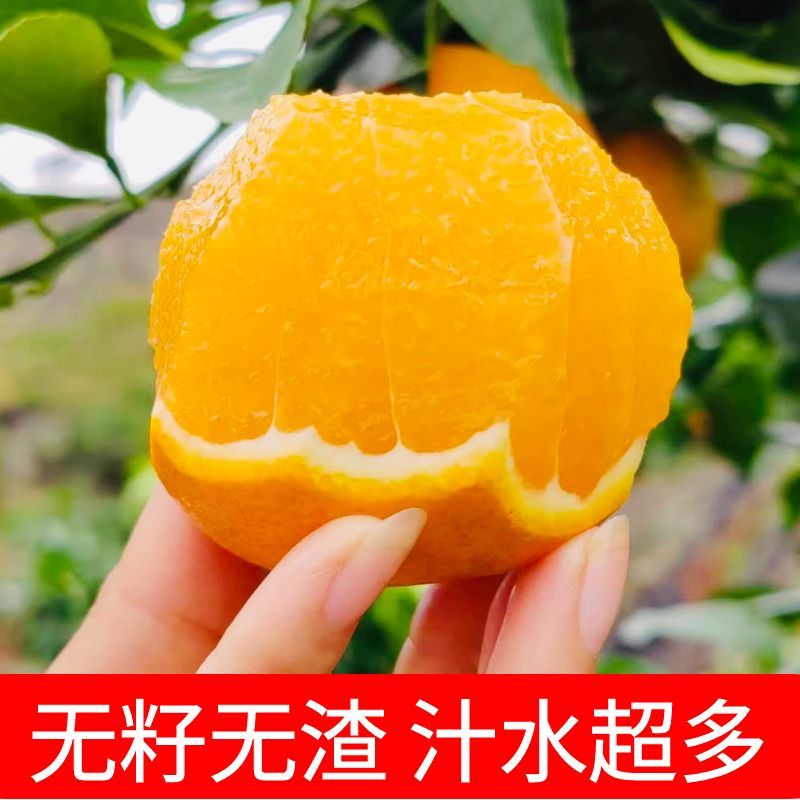主图13.jpg