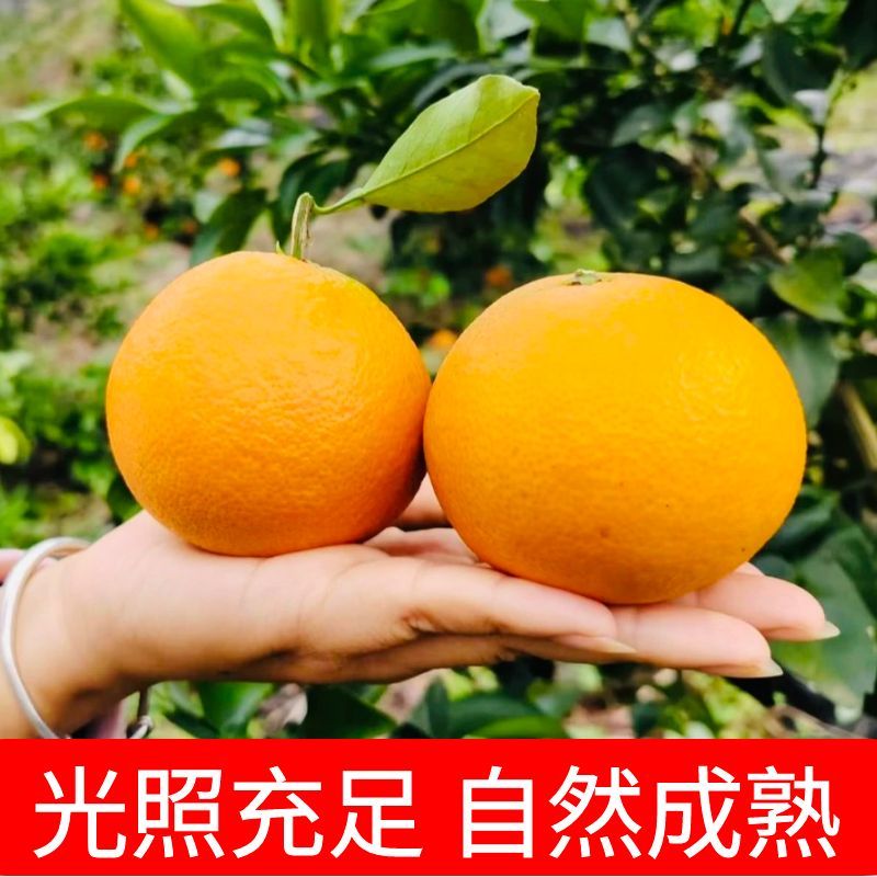 主图14.jpg