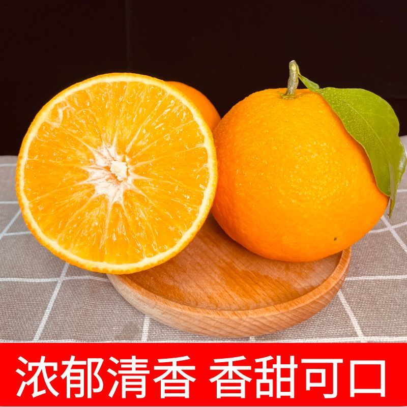 主图15.jpg